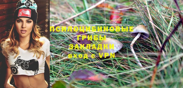 амф Бугульма